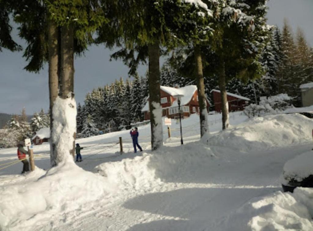 Relax Harrachov Apartments Exterior foto